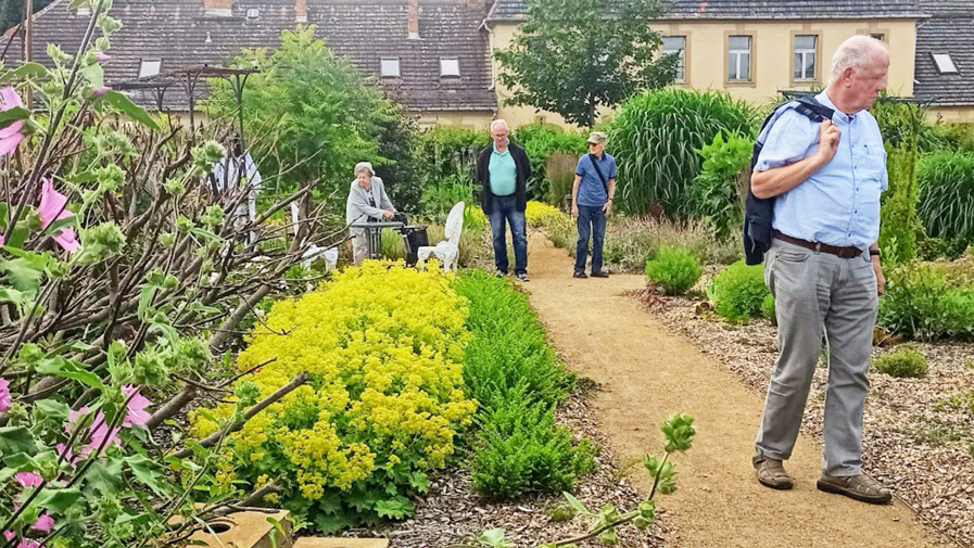 In der Orangerie schauen sich die Senior*innen der ProCurand Seniorenresidenz Cottbus den Garten an. 