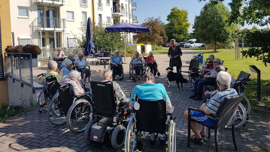 Besuchshund Lenny erfreut die Bewohner*innen der ProCurand Seniorenresidenz Am Hufeisensee in Halle-Büschdorf