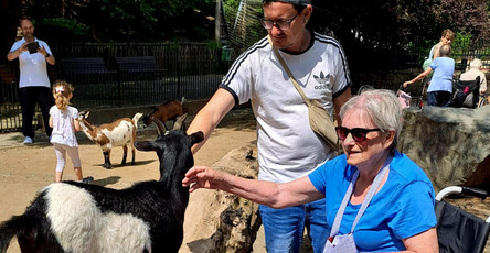 Im Magdeburger Zoo streicheln die Bewohner*innen der ProCurand Seniorenresidenz Am Krökentor die Ziegen.