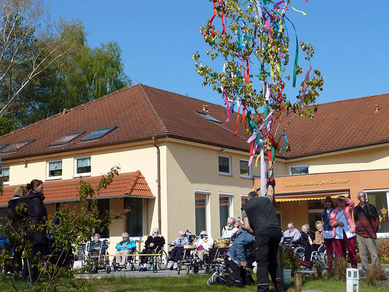 Der Maibaum für eines der zahlreichen Fest in der Seniorenresidenz wird aufgestellt