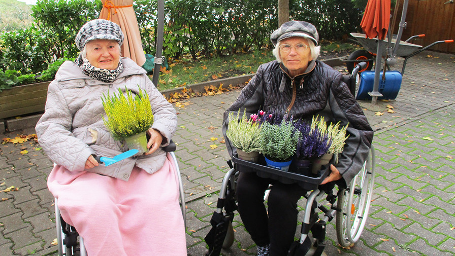Bewohner*innen halfen bei der herbstlichen Bepflanzung des Gartens der ProCurand Seniorenresidenz Senftenberg mit