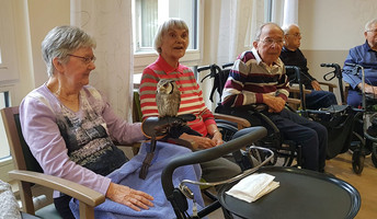 Eine Bewohnerin der ProCurand Seniorenresidenz Bölschestraße hält eine Eule vorsichtig auf dem Arm, während andere Senior*innen die besondere Begegnung interessiert beobachten.