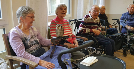 Eine Bewohnerin der ProCurand Seniorenresidenz Bölschestraße hält eine Eule vorsichtig auf dem Arm, während andere Senior*innen die besondere Begegnung interessiert beobachten.