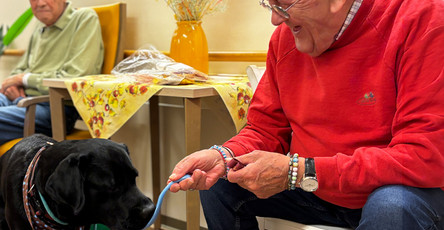 In der ProCurand Seniorenresidenz Bölschestraße füttert ein Bewohner Besuchshund Balu, während ein weiterer Bewohner entspannt am Tisch sitzt und die gemeinsame Zeit genießt.