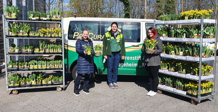 Großzügige Blumenspende von Pflanzen-Kölle