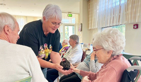 In der ProCurand Seniorenresidenz Senftenberg wird ein Therapiehuhn gezeigt, während die Senior*innen interessiert zusehen und den besonderen Moment genießen.