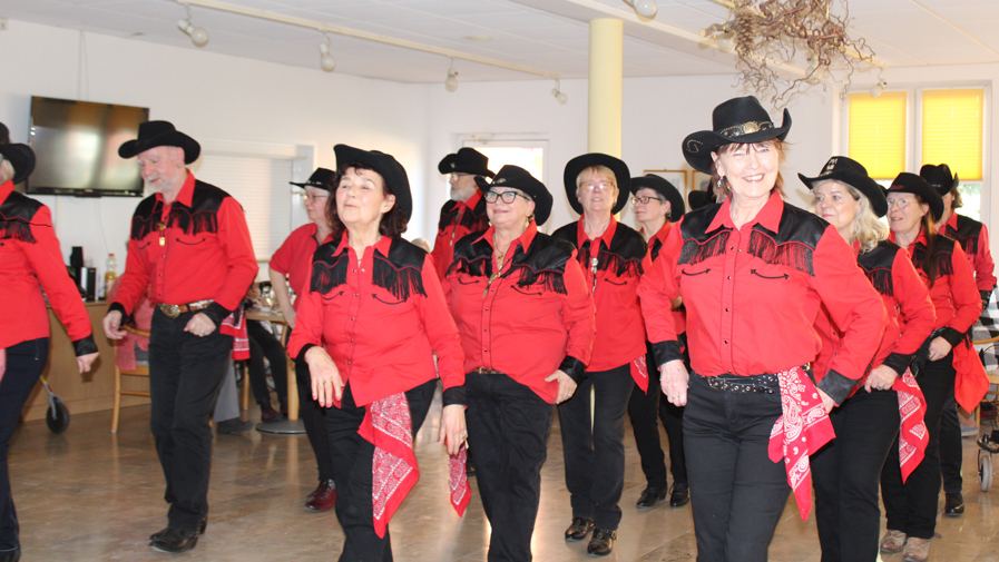 Line Dancer auf dem Frauentag in der ProCurand Seniorenresidenz Eberswaldend D