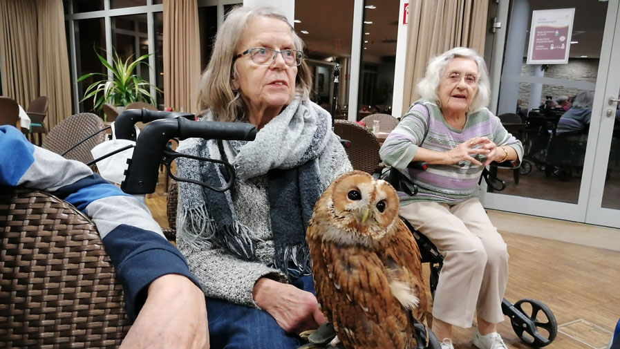 Zahme Therapievögel begeisterten die Bewohner*innen der ProCurand Seniorenresidenz Havelpalais