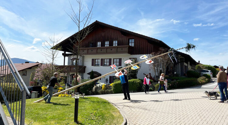 In der ProCurand Pflegestift St. Ulrich halfen das Betreuungsteam und Haustechniker Peter Liebl fleißig beim Aufstellen des Maibaums, unterstützt von den Helfer*innen aus Lam.