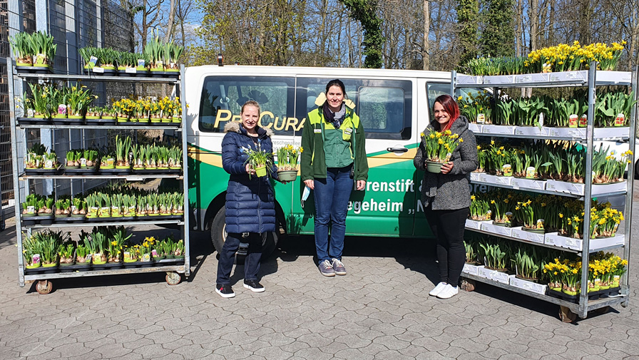 Großzügige Blumenspende von Pflanzen-Kölle