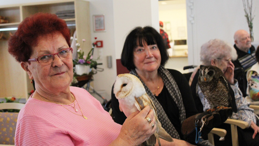 Besuch des Falkners der Herzen und seinen Therapieeulen in der ProCurand Service-Wohnanlage Strausberg Wriezener Straße