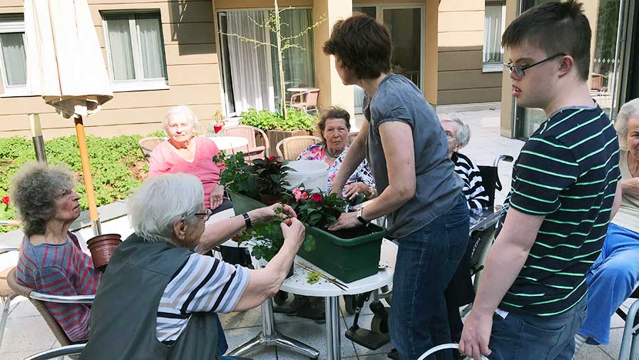 Gemeinsam Balkonkästen bepflanzen in Potsdamer Seniorenresidenz