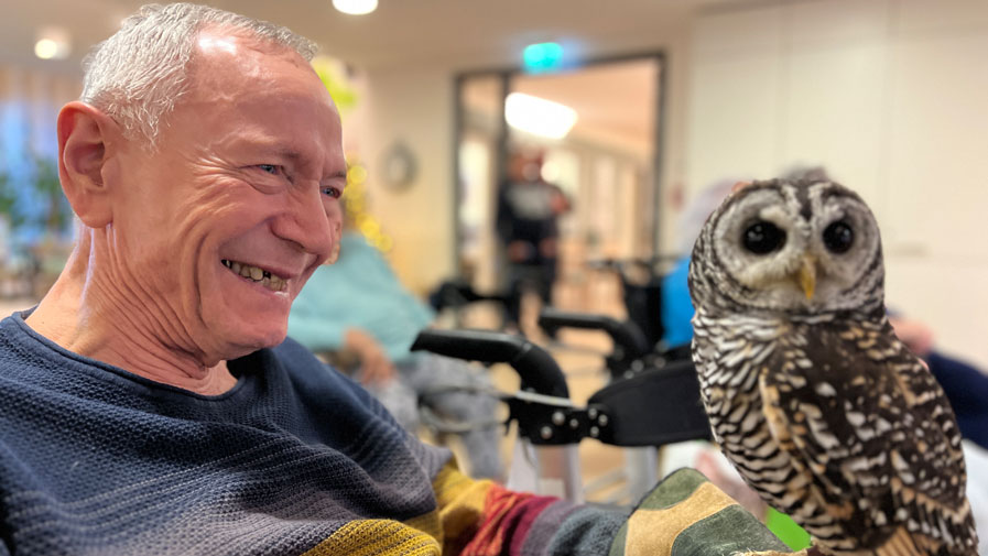 Falconers of the heart visit Bölschestraße