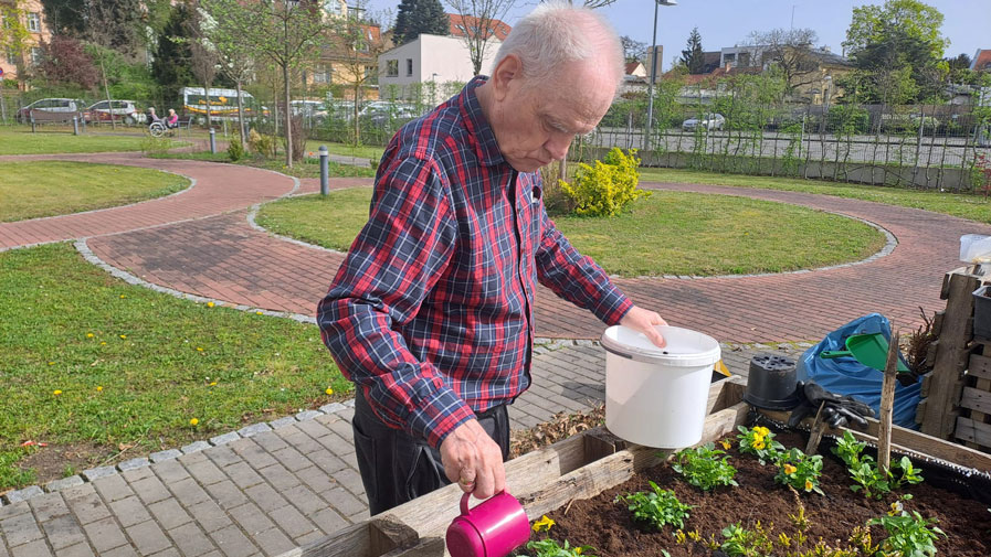 Spring gardening in Bölschestraße