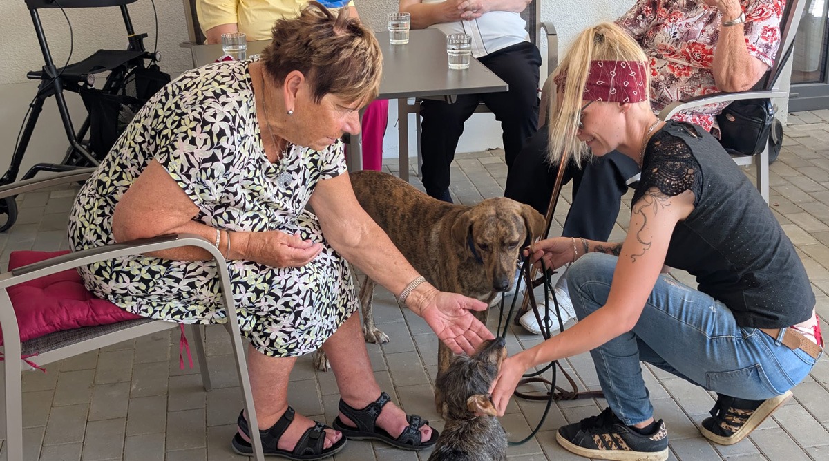 Therapy dogs in the Eberswalde day care centre