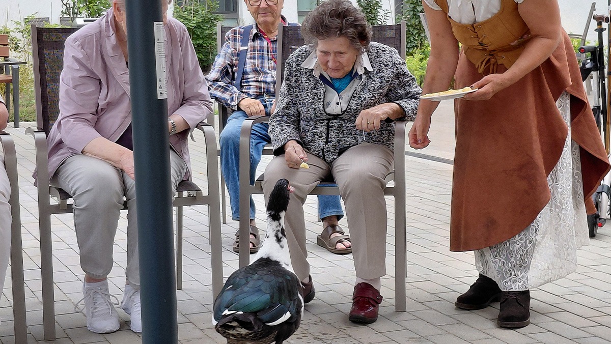 Animal Visitors in Eberswalde