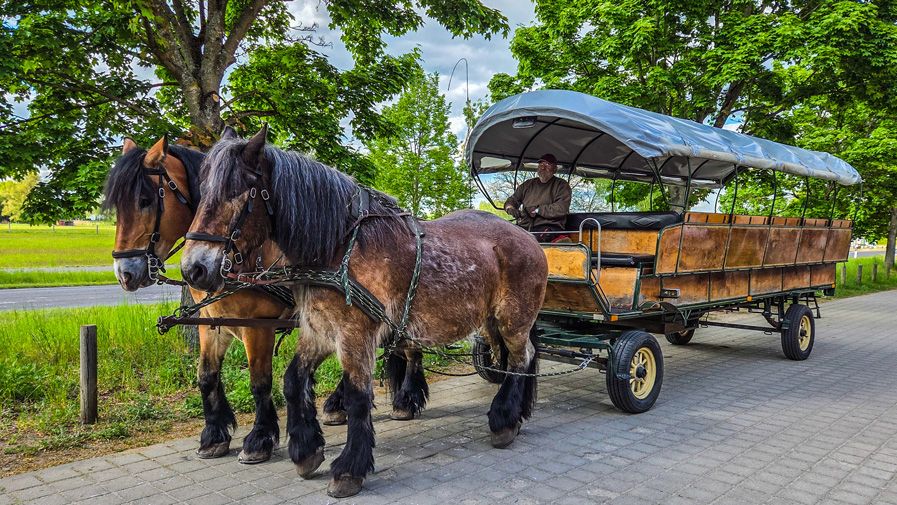 Kremser ride through Lichterfelde and Eberswalde