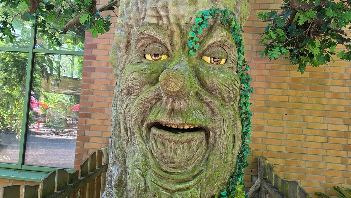 Ein Baumgesicht