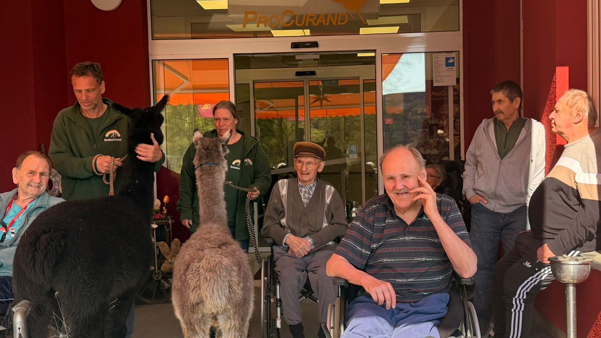 In Grebs wurden die Senior*innen von Alpakas besucht