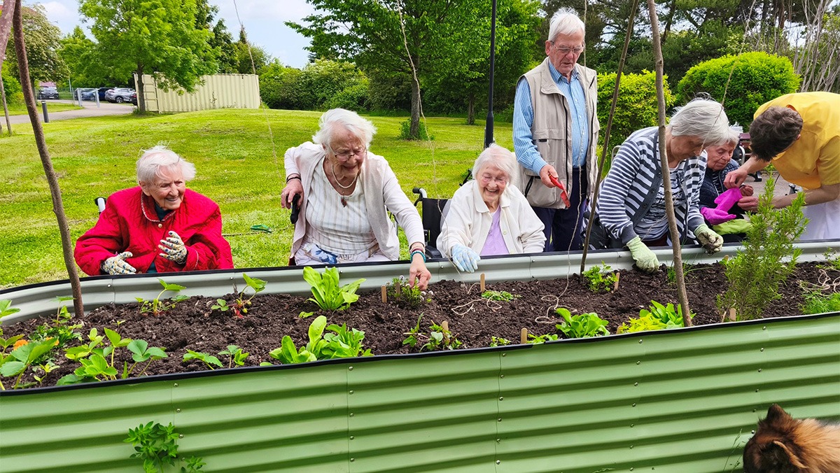Seniors are standing behind the raised bed