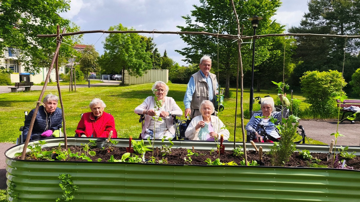 Seniors are standing behind the raised bed