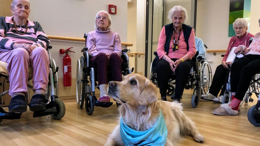Senior citizens and Quinn at the Havelpalais senior citizens' residence