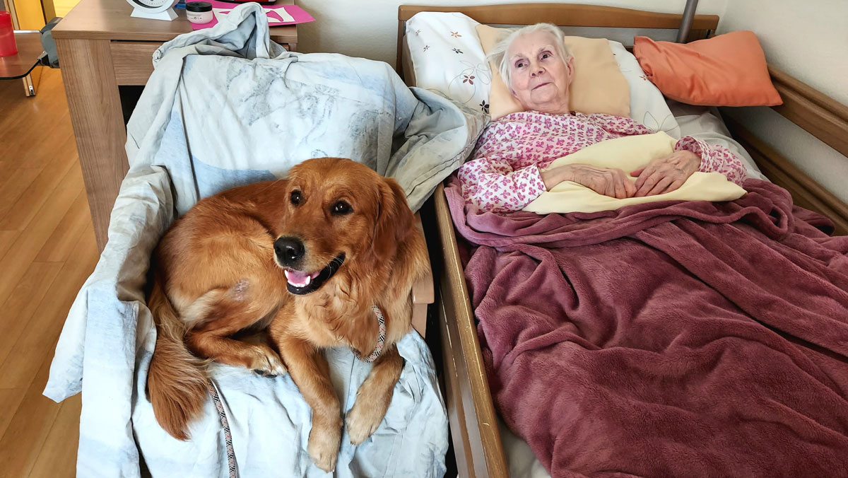 Hundebesuch im Havelpalais