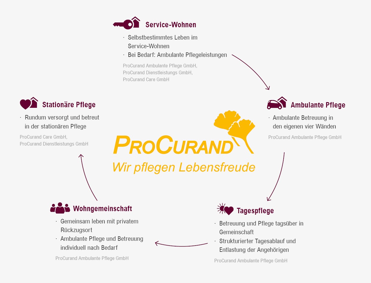 ProCurand Dienstleistungen Grafik der Dienstleistungen der ProCurand Unternehmensgruppe