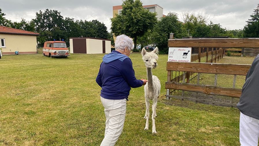 Freshly „dressed up“ in Senftenberg