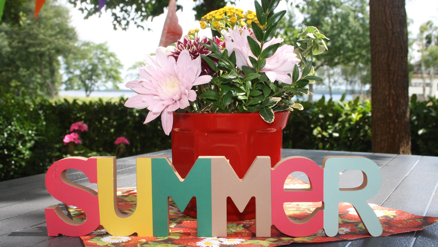 Summer afternoon in Senftenberg