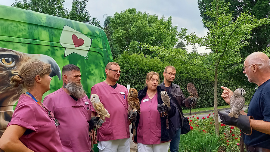 Falconer of hearts in Strausberg