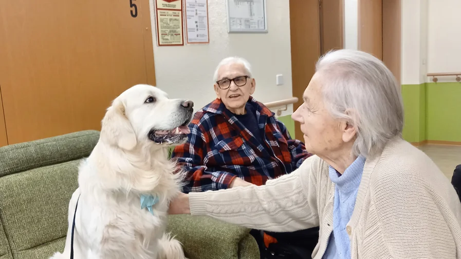 Heartbreaker Balu in Strausberg