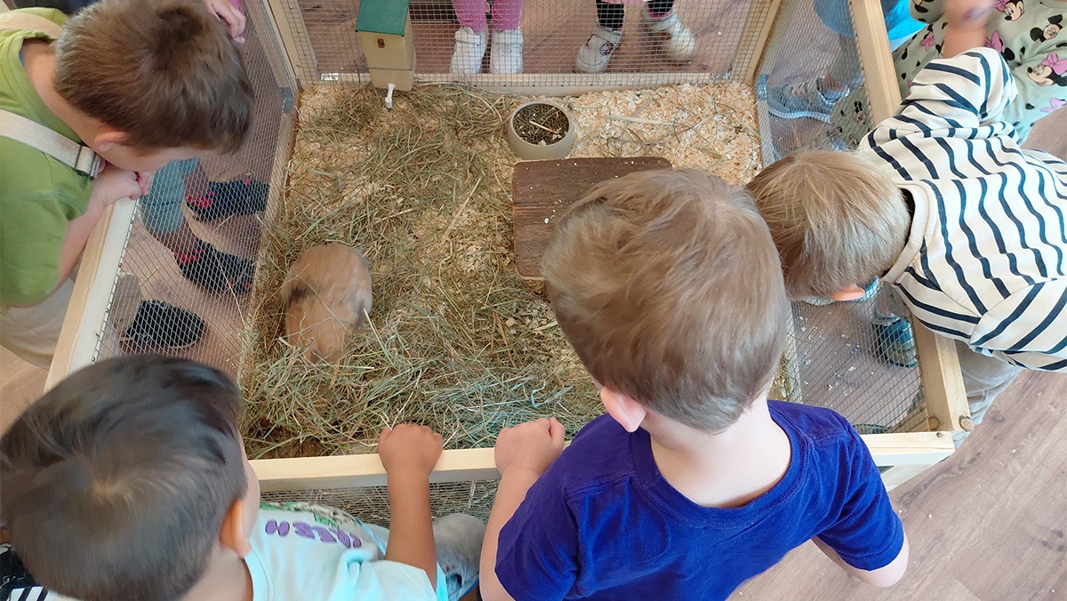 Tierischer Besuch in der Tagespflege Eberswalde Kaninchen und Meerschweinchen sorgten wieder für viel Freude
